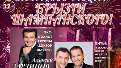 Photo of Новогодний концерт с участием звезд